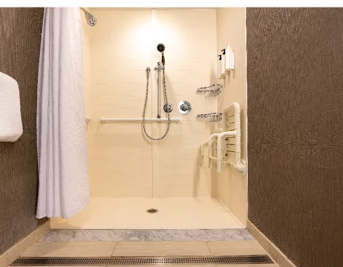 Accessible shower stall with a handheld shower head on a slide bar, grab bars, and a fold-down seat
